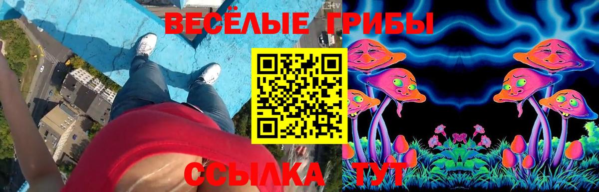Галлюциногенные грибы мицелий Курск
