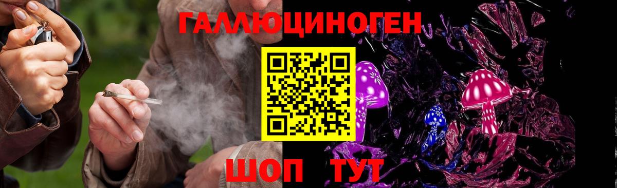 Курск  Галлюциногенные грибы мицелий  Вход с VPN 